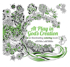 At Play in God's Creation: An Illuminating Coloring Book for Adults